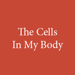The Cells In My Body