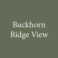 Buckhorn Ridge View