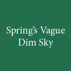 Spring's Vague Dim Sky